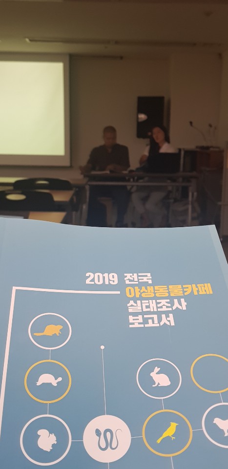 카페 수 이미지