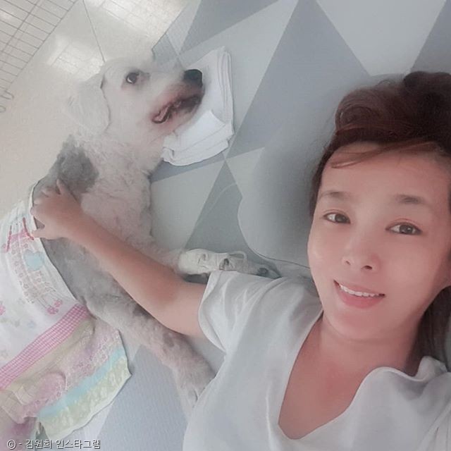 노트펫