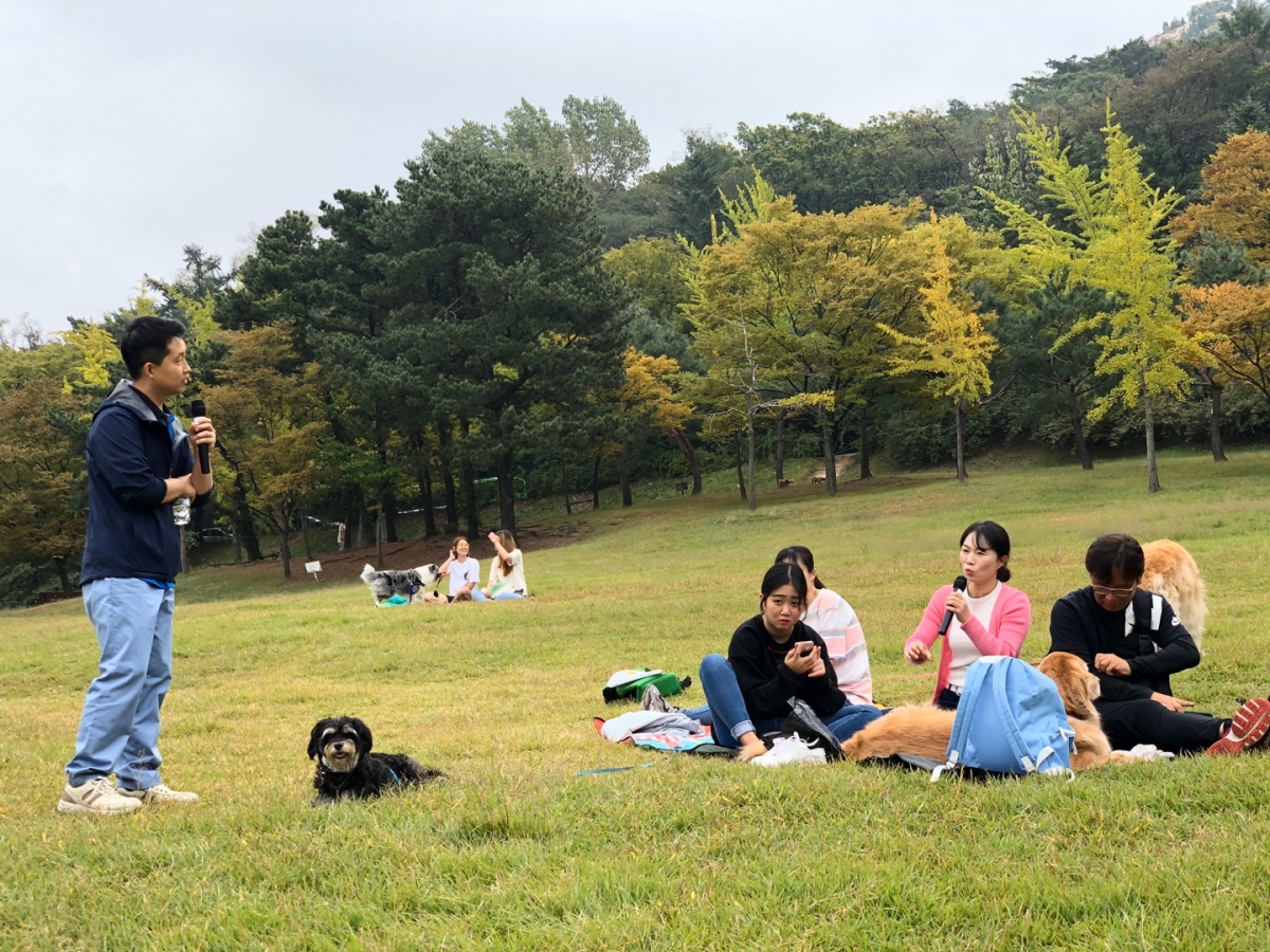 노트펫