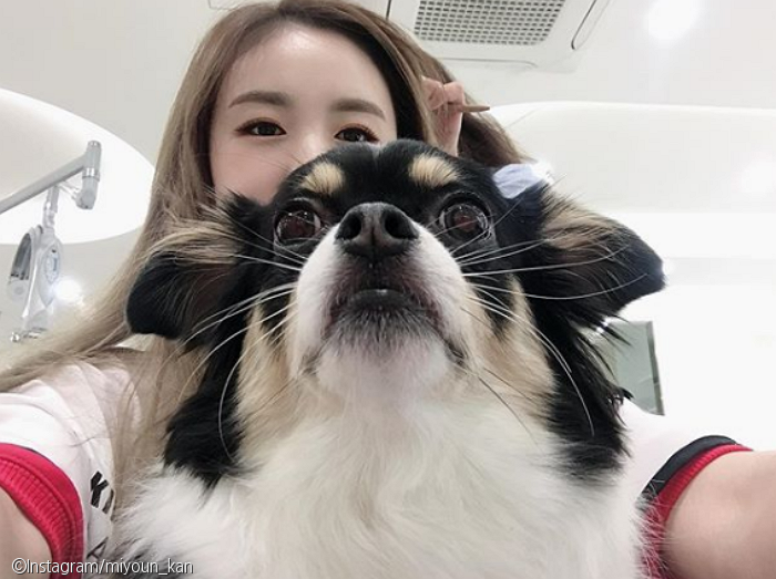 노트펫