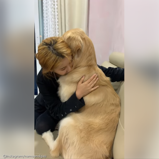 노트펫