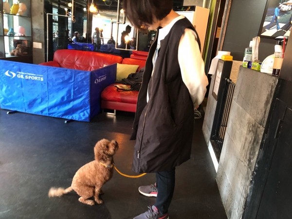 노트펫
