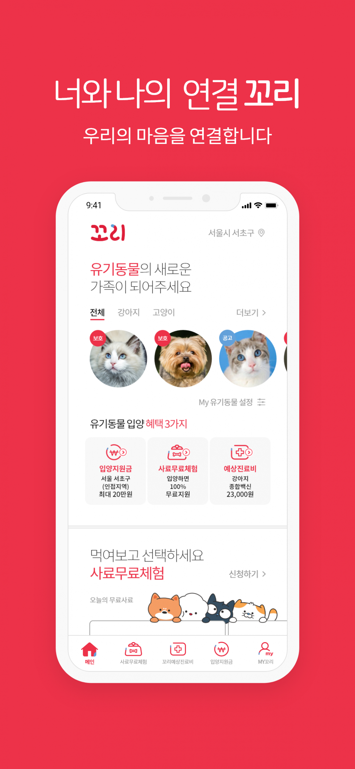 노트펫