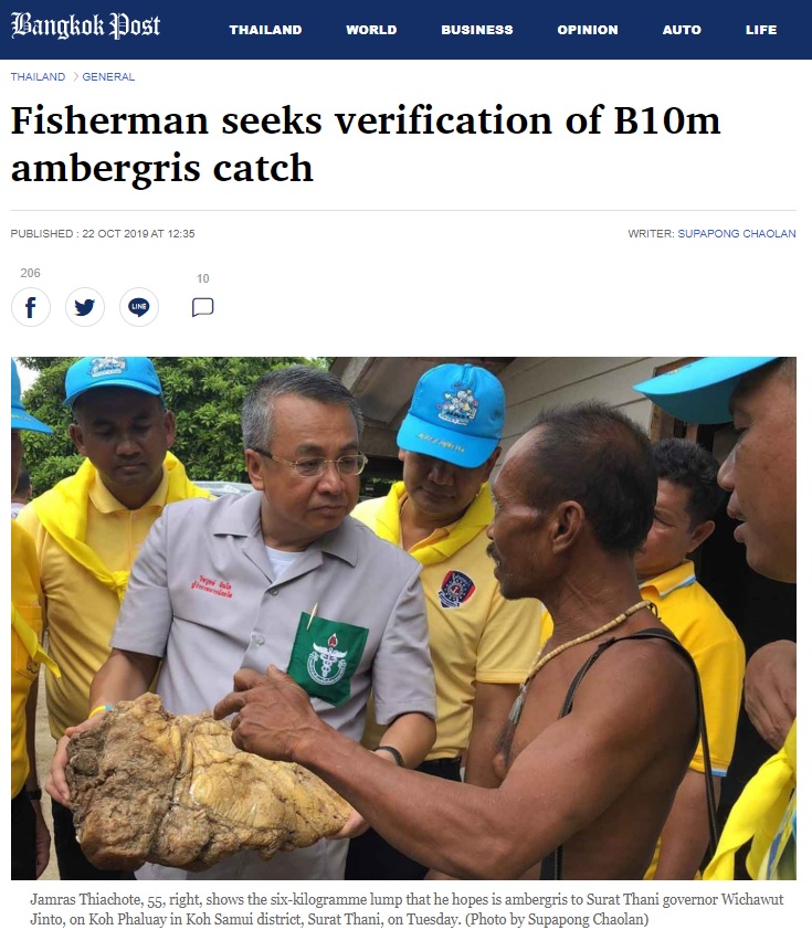노트펫