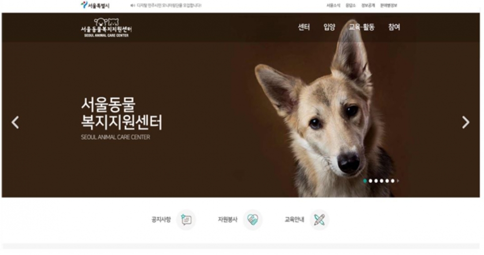 노트펫