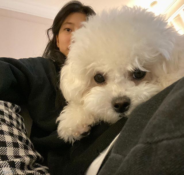 노트펫