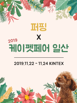노트펫