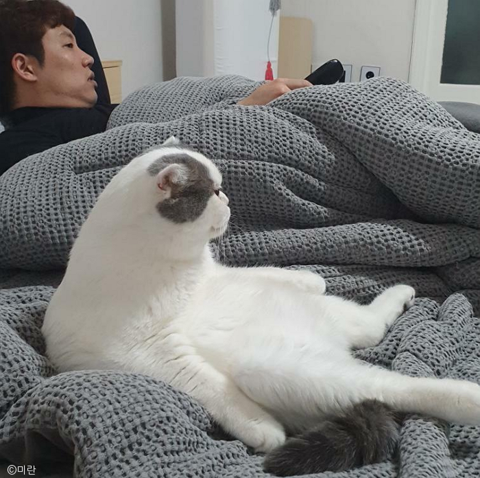 노트펫