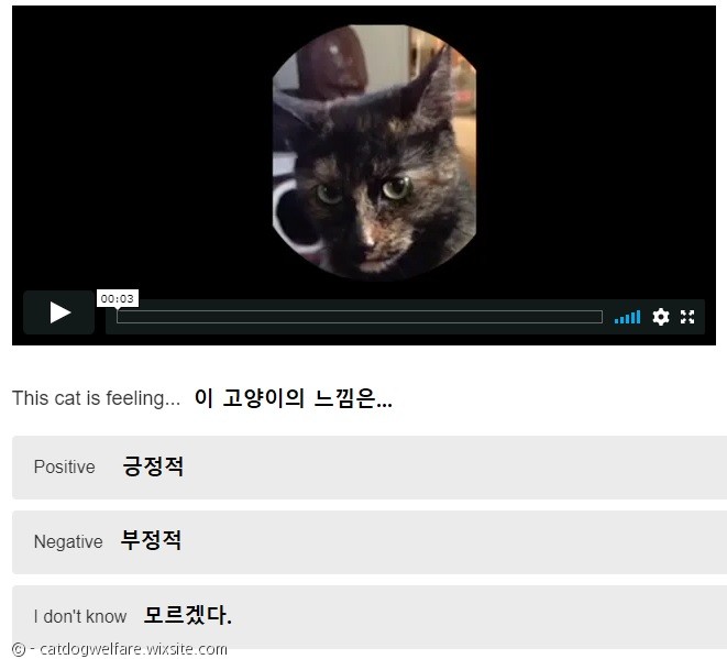 노트펫
