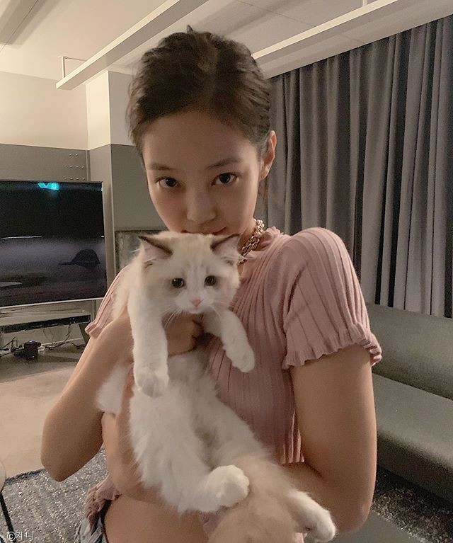 노트펫