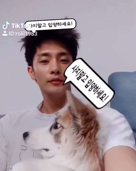 노트펫