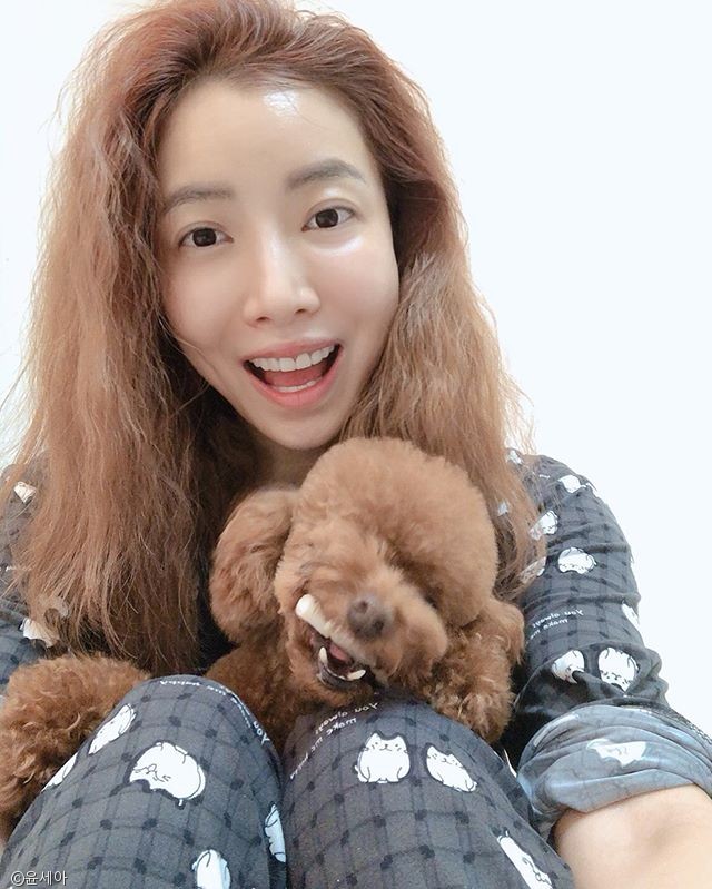 노트펫