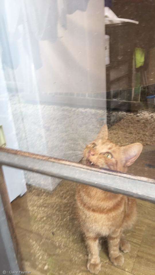 문*준 이미지