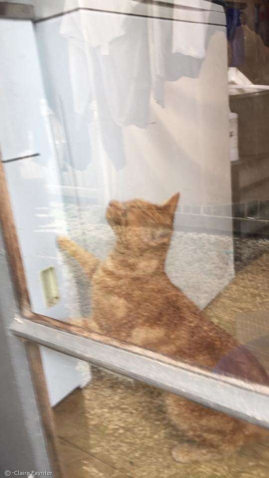 문*준 이미지