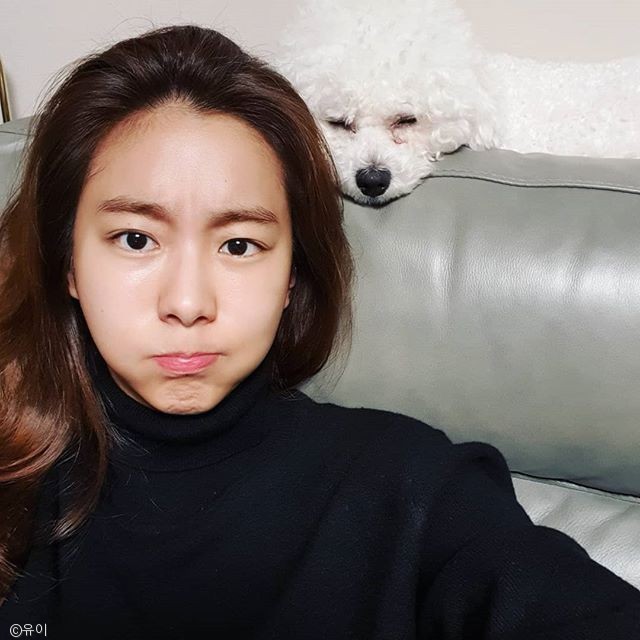 노트펫