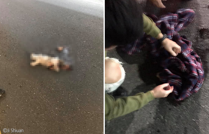 노트펫