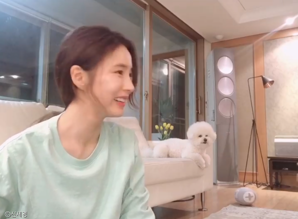 노트펫