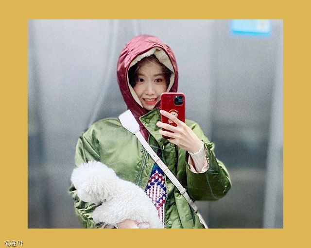 노트펫