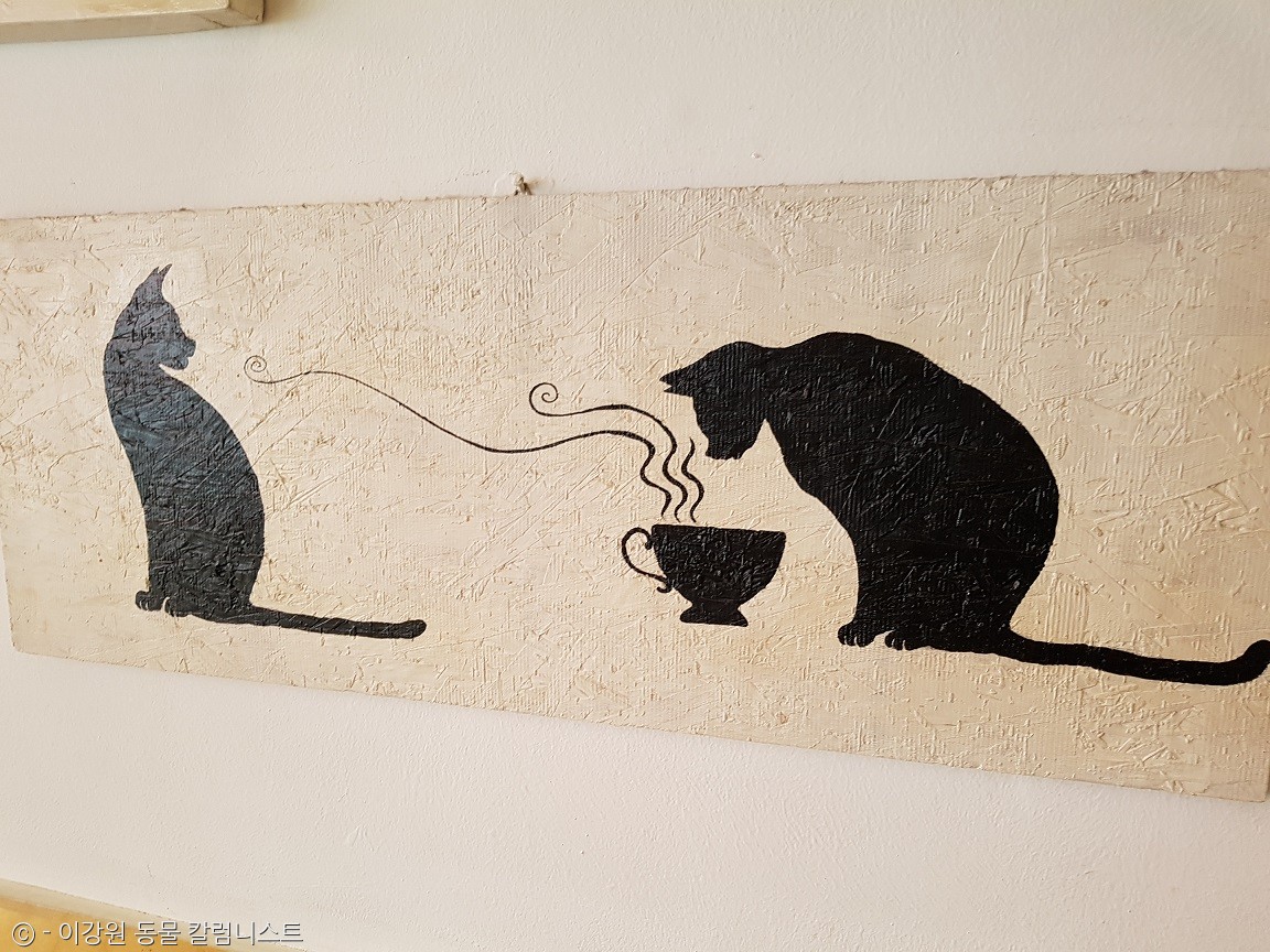 노트펫