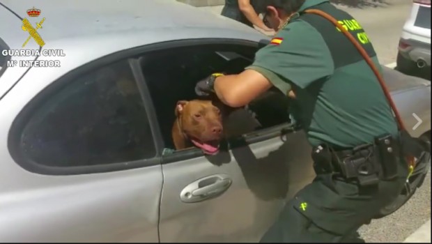 지난 2016년 스페인 경찰이 차창을 깨고 차내방치된 개를 구출하는 모습