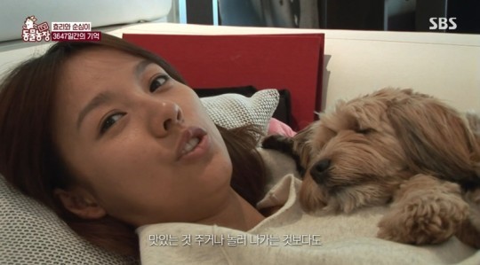 순심이 이미지