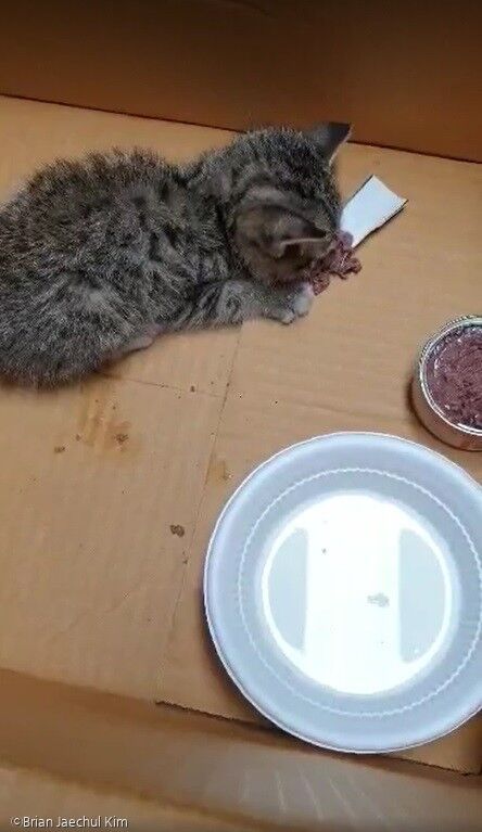 천사마트 이미지