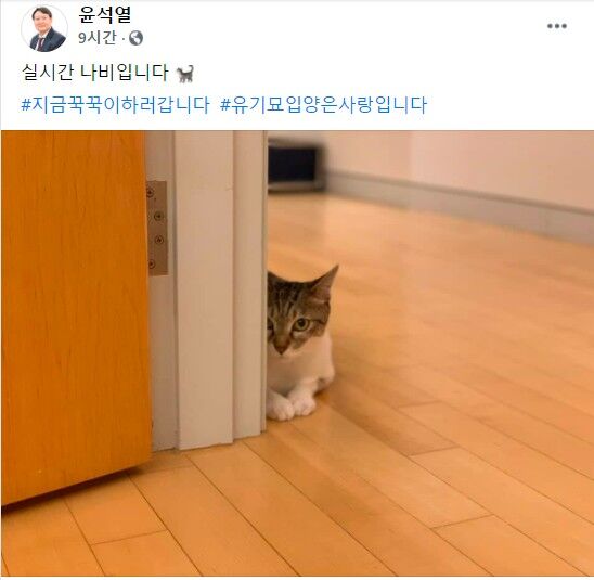 윤석열 전 검찰총장 페이스북 