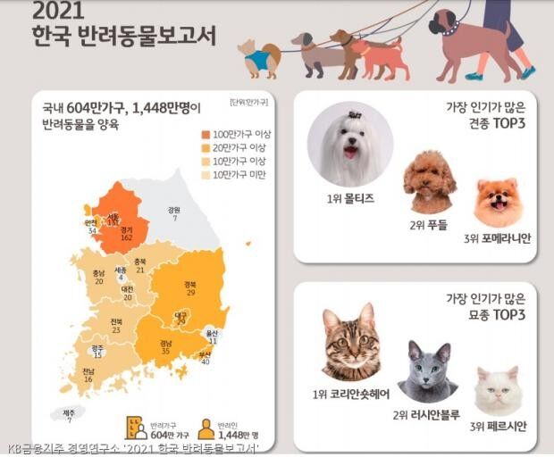 KB금융지주 '2021 한국 반려동물보고서'