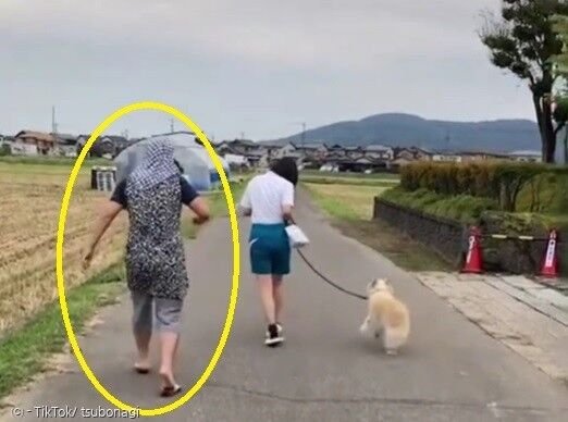 손자(노란 원)가 머리부터 발끝까지 할머니 옷을 차려 입고, 반려견을 산책시켰다. [출처: TikTok/ tsubonagi]