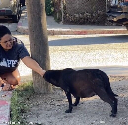 포피는 남편이 건네는 치킨을 거부했지만, 아내에게 마음의 문을 열었다.