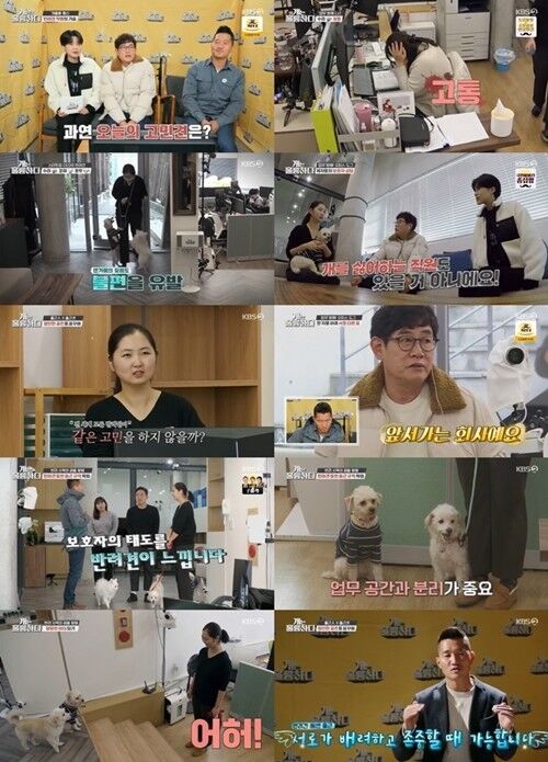 사진=KBS2TV '개는 훌륭하다' 29일 방송 화면 캡처
