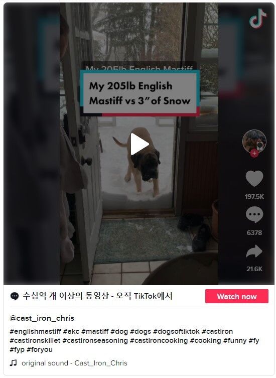 이미지를 클릭하면 원본 영상으로 이동합니다.