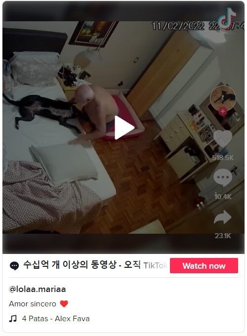 이미지를 클릭하면 원본 영상으로 이동합니다.