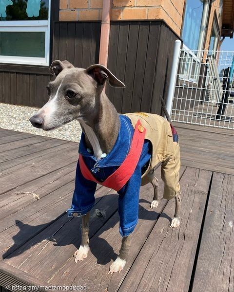 사진=Instagram/maetamongisdad(이하)