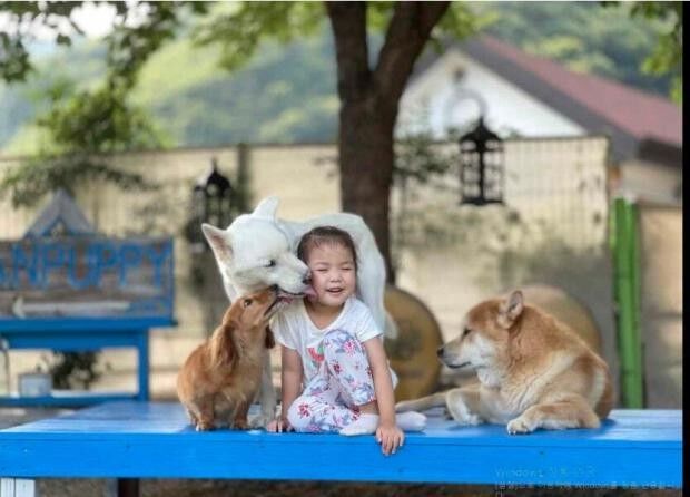 대통령직인수위원회가  3일 새 정부의 110대 국정과제를 발표했다. 사진 2021년 동물사랑 사진 공모전 대상 '우리집 막내 예은'