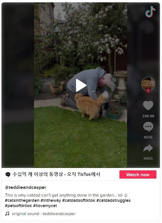 이미지를 클릭하면 원본 영상으로 이동합니다.