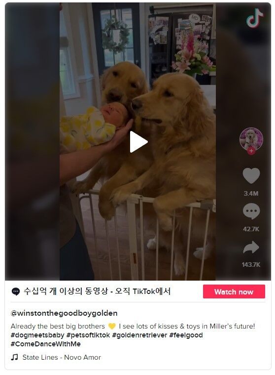 이미지를 클릭하면 원본 영상으로 이동합니다.