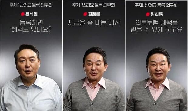 윤석열 대통령의 후보 시절 선거 캠페인 모습. 