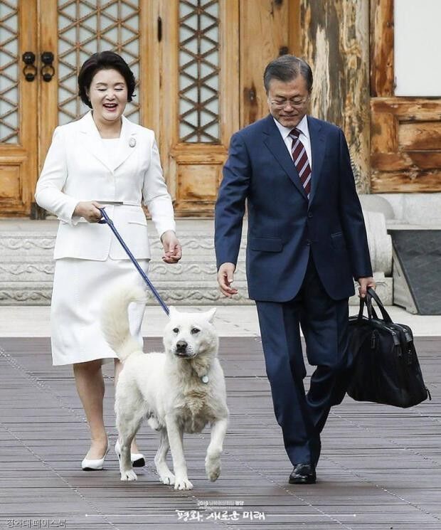 2018년 9월18일 제3차 남북 정상회담차 평양으 떠나는 문 전 대통령 내외를 배웅나선 마루의 모습. 