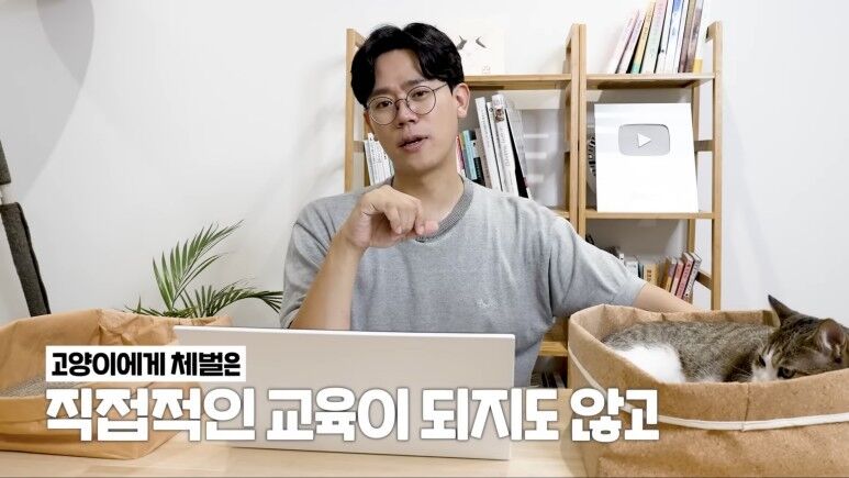 대처법] 고양이가 물었을 때 이렇게 하면 절대 안 돼요! ❌ & 이렇게 하세요!⭕️