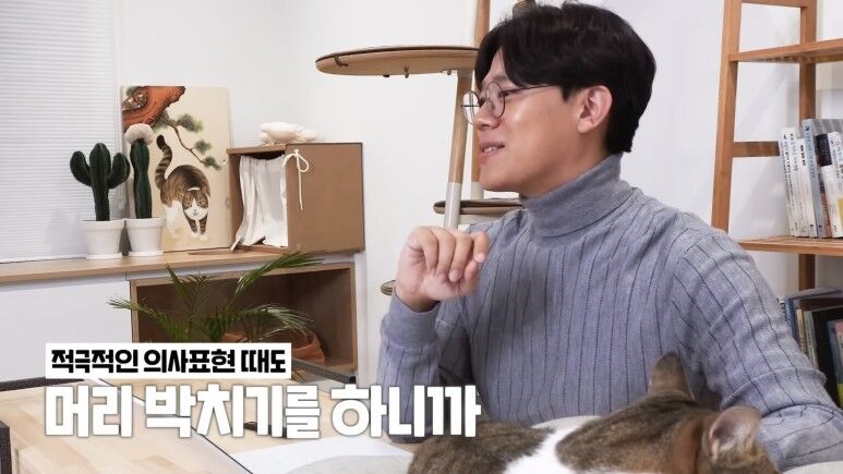 냥냥표현]고양이가 집사를 사랑할 때 하는 애정표현!
