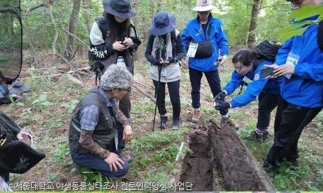 사진=서울대학교 야생동물실태조사 전문인력양성 사업단 제공(이하)