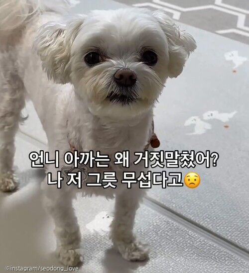 사진=instagram/@seodong_love (이하)