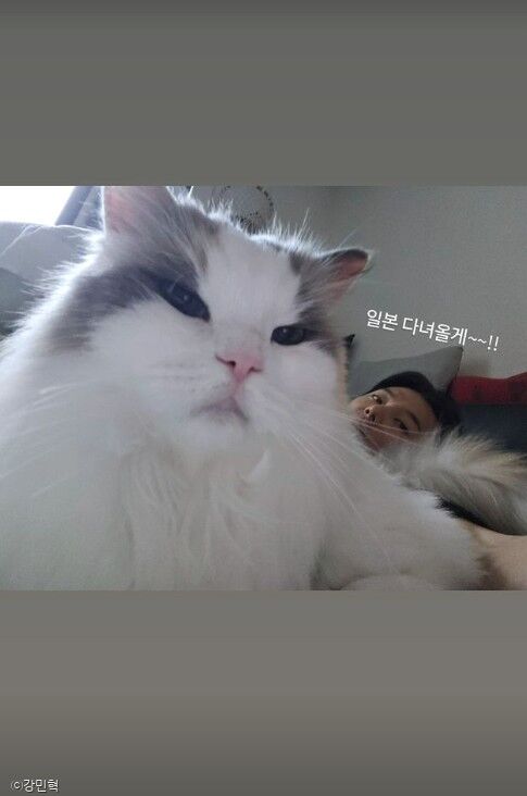 사진=강민혁 인스타그램 스토리(이하)