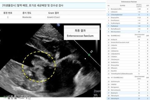 ⓒ노트펫