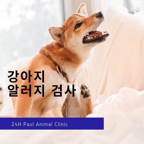 ㅇ