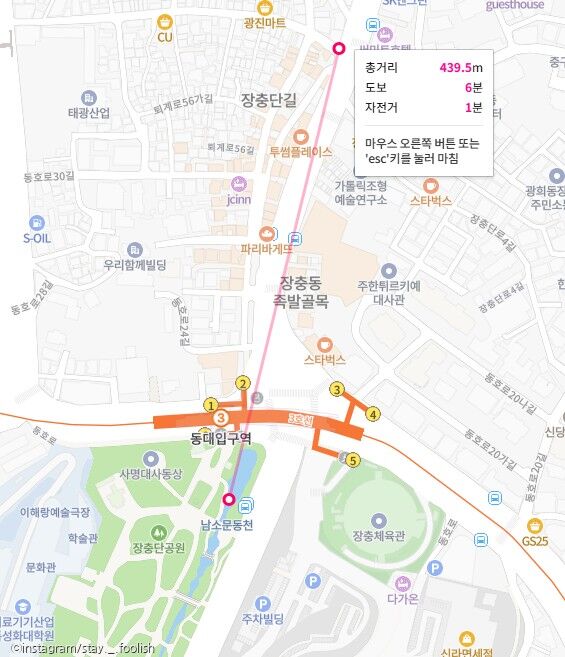도심 한복판에서 길 잃어버린 오리 가족..시민들 너도나도 도와