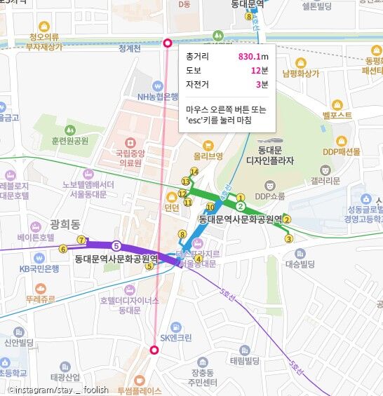 도심 한복판에서 길 잃어버린 오리 가족..시민들 너도나도 도와