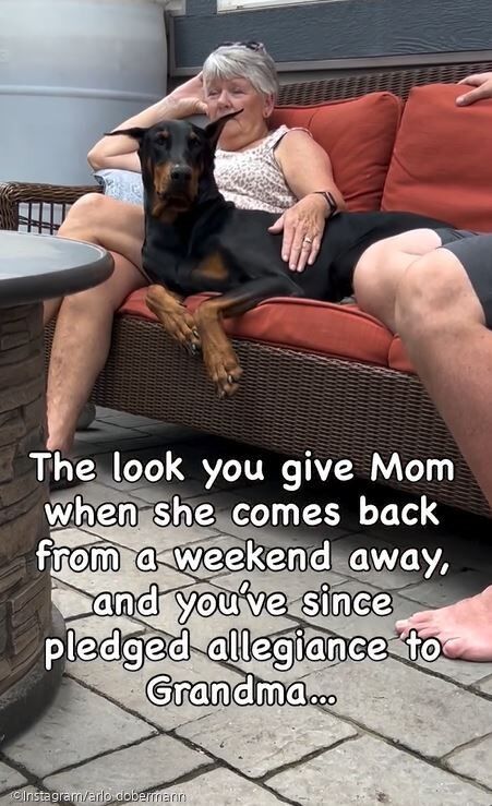 ⓒInstagram/arlo.dobermann