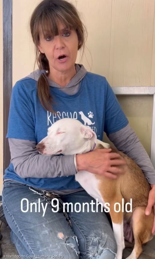 ⓒMendocino Coast Humane Society